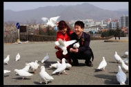 ֮