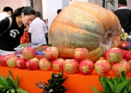 200ĴϹũ