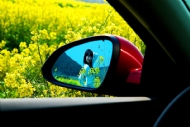 Ӱ