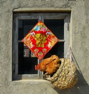 ũԺ