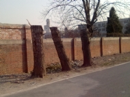 ı